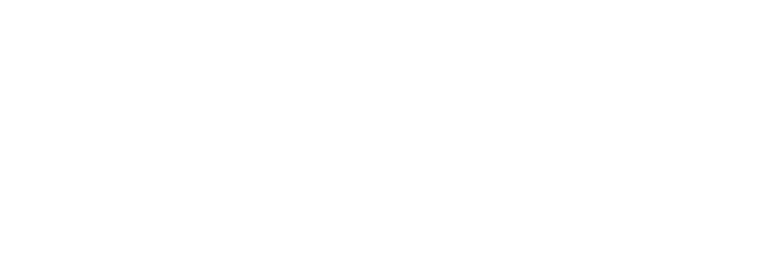 Balloon 101 Logo